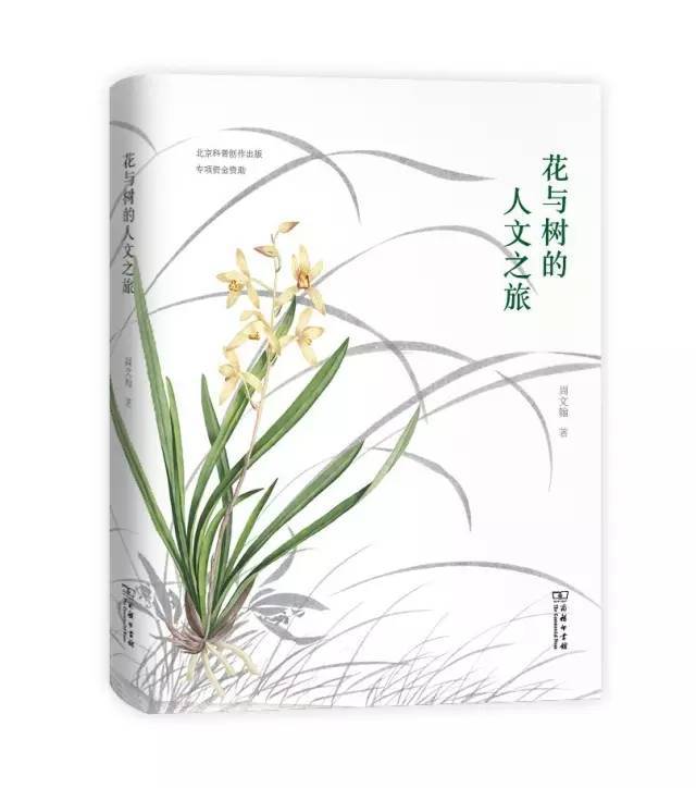 中国的国花是什么（中国的国花是什么花）