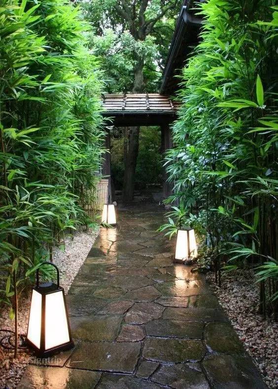 有一个竹林院子,才是极具风雅之事