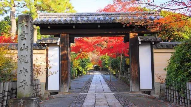 日本十大最美的枯山水庭院