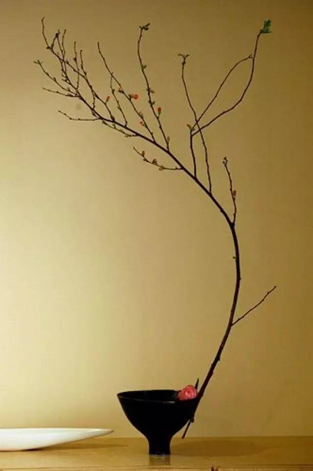 禅意插花100例