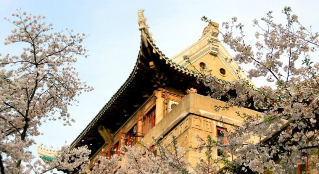 国内9大赏花胜地，你最想去哪一个？[墙根网]