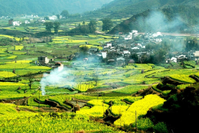 国内9大赏花胜地，你最想去哪一个？[墙根网]