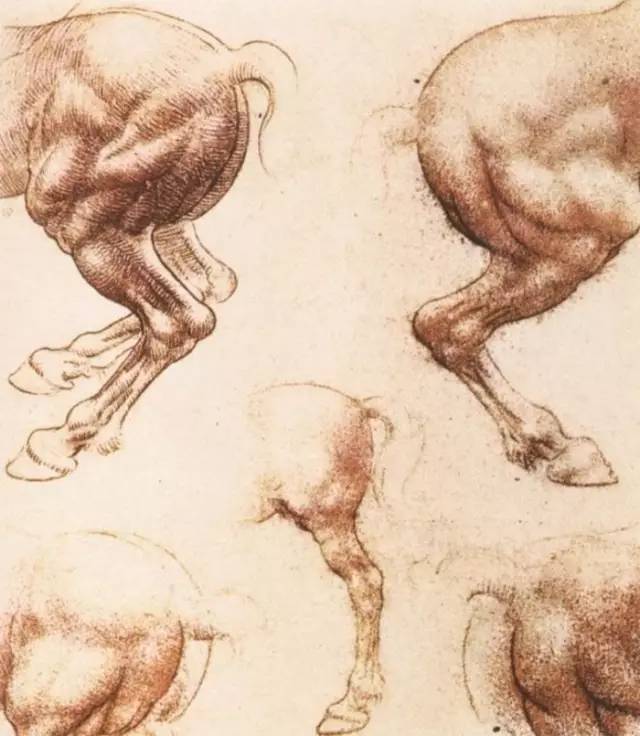 2020/07【绘画艺术】达芬奇名画作品欣赏