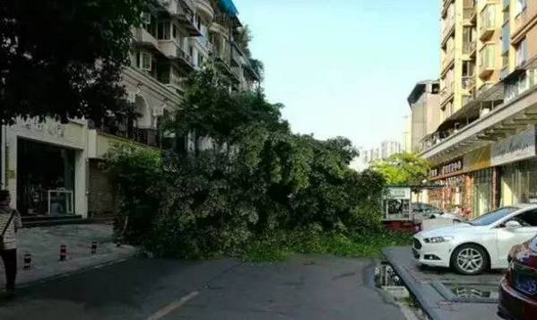 极端天气袭川!遂宁冰雹、乐山房倒、南充一女