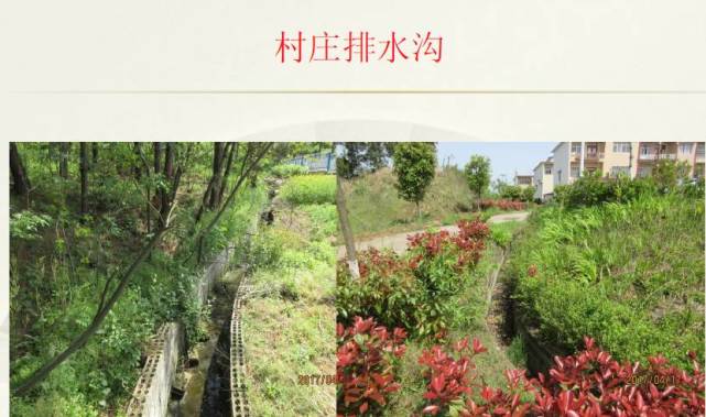 好消息！国家看上了信阳这2个村 每个村奖励100万