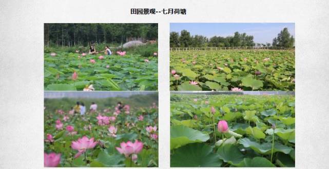 好消息！国家看上了信阳这2个村 每个村奖励100万