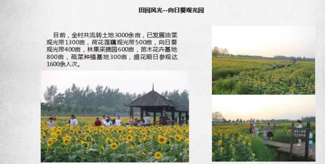 好消息！国家看上了信阳这2个村 每个村奖励100万