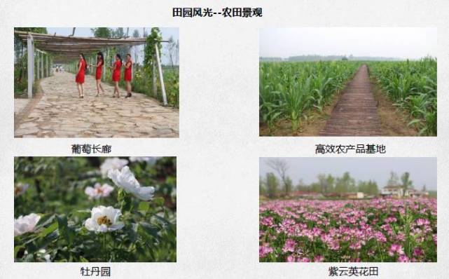 好消息！国家看上了信阳这2个村 每个村奖励100万