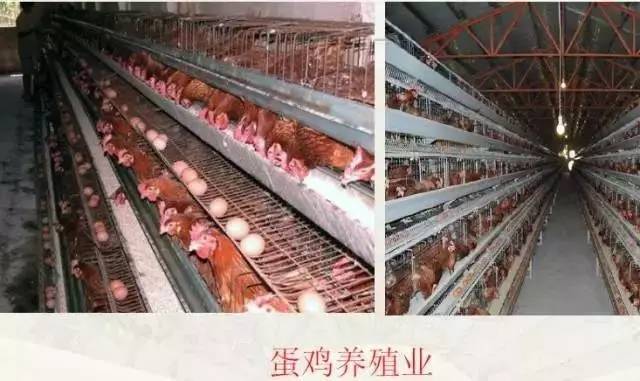 好消息！国家看上了信阳这2个村 每个村奖励100万