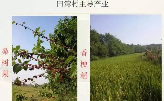 好消息！国家看上了信阳这2个村 每个村奖励100万