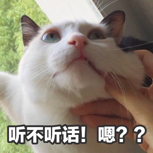 男生:听不听话!
