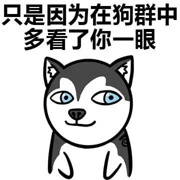 情人节单身狗发的文案