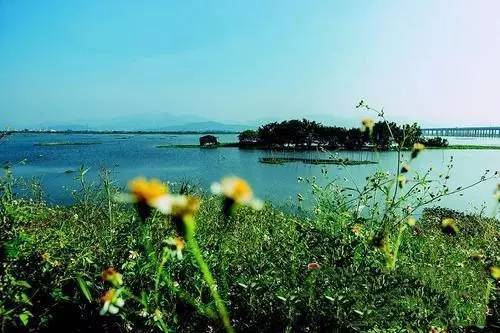 惠州27条黑臭水体已开工整治 2018年全面完成