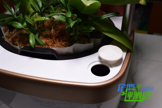 文科直男评兰苑智能种植机:打破了我养啥啥死