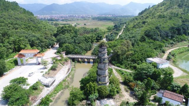 新兴县天堂镇:紫米产业发展势头良好