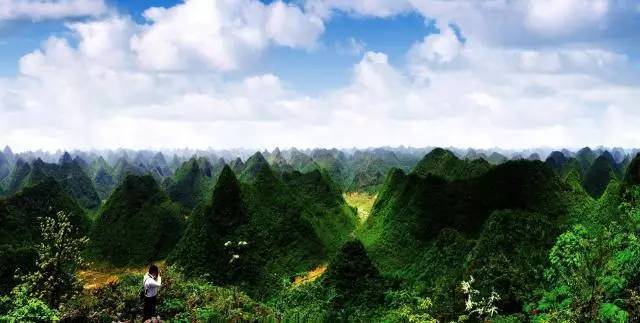 2017中国贵州自驾游路线:茂兰醉美私家自然保