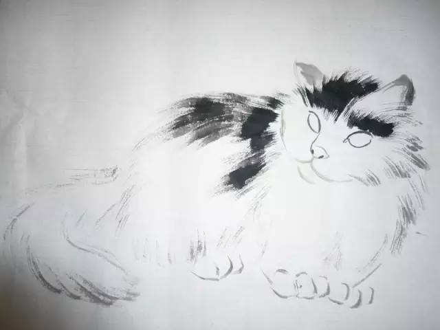 国画教学,猫的写意画法!