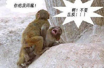 人事部再不找点美女,哥就去擦鞋了~