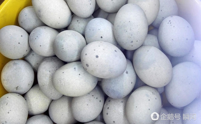 雄安霸气小菜看着恶心吃着香你敢吃吗