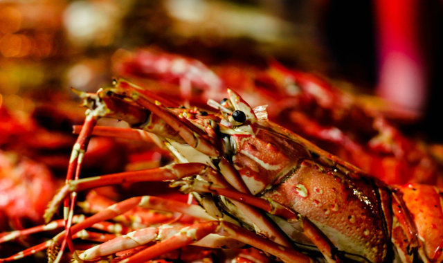 阿里美团都去线下开生鲜超市,但最终这还是个