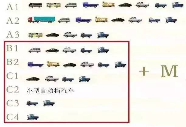 舞阳男子持B1驾半挂 驾驶员准驾不符被拘留