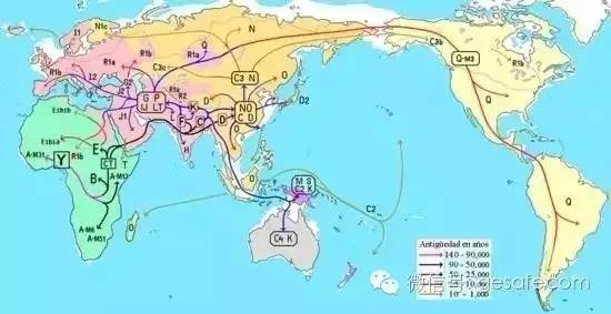 2070年中国人口_中国各年出生人口(2)