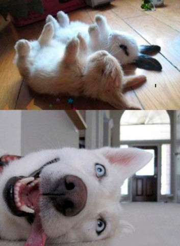 【搞笑】让老师吐血的一篇作文…