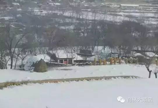 通渭县多少人口_通渭县地图(3)