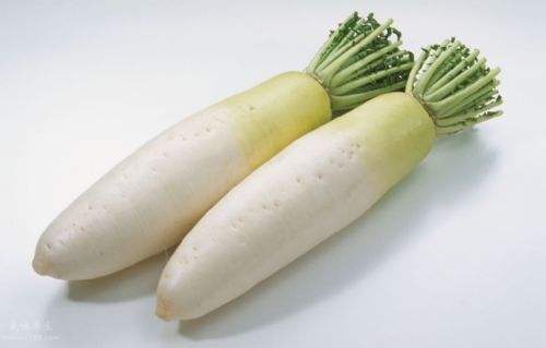 痛风,萝卜能不能吃?其实您这样吃对于身体可是
