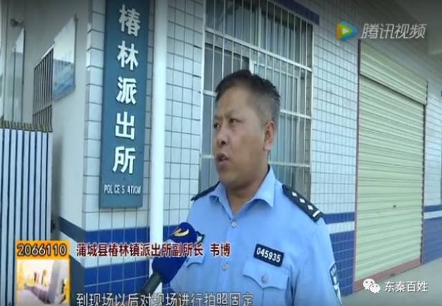 蒲城农田合约到期出租方收地 200亩药材被毁