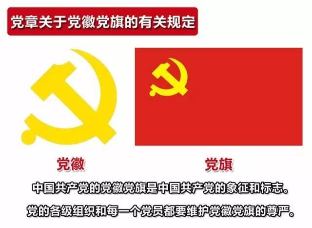 党徽党旗使用规定