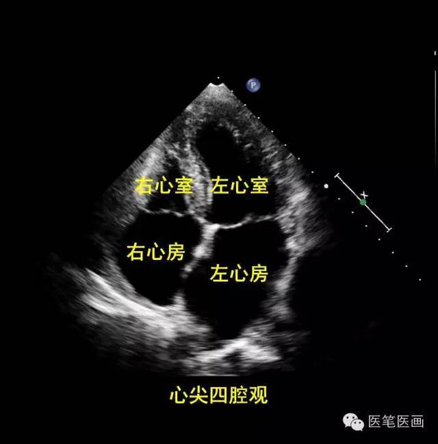 史上最萌心超入门图谱,没有之一