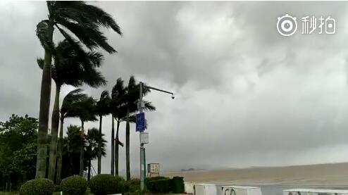 台风天鸽:珠海女记者台风天直播