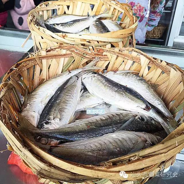 闻名天下的巴浪鱼饭潮汕人所说的巴浪鱼,中文名蓝圆鲹.