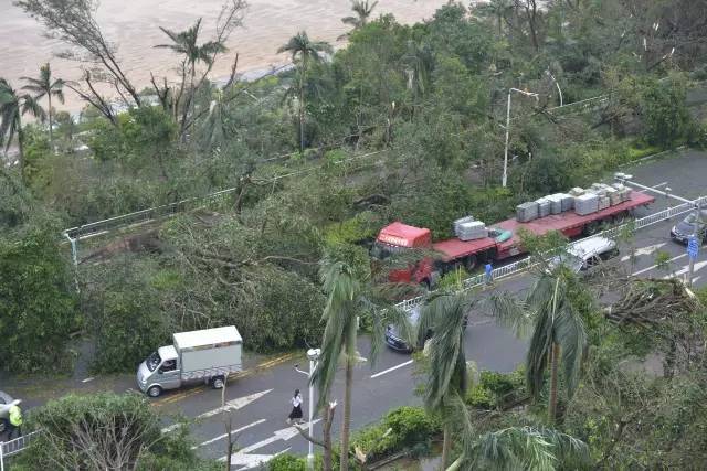 最新消息！台风“天鸽”已造成16人遇难