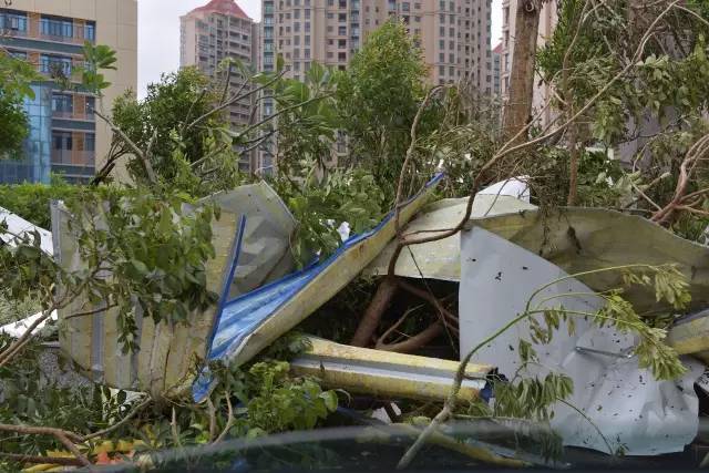 最新消息！台风“天鸽”已造成16人遇难