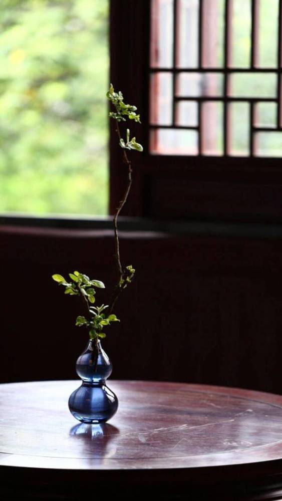 插花|一花一世界,一叶一菩提