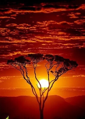 【心境通幽】守一处情,不如守一处风景。