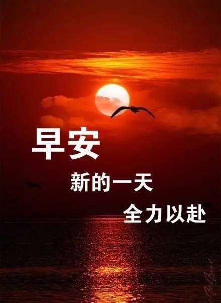 7月11日早上好正能量很火的一段话