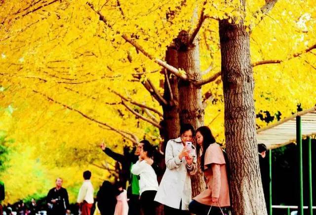 沈阳是哪个省的?已传疯,沈阳人顶起!