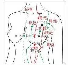 人体有九条经络是直接从乳房通过的,它们分别是肺经,心包经,心经,任脉