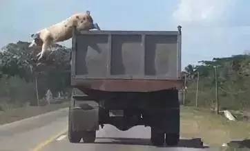 厦门有多少人上班不是为了钱?_房产厦门站_腾讯网