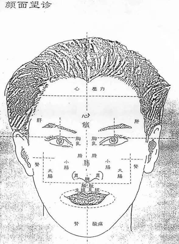 面部还有眼,唇,舌,耳,也要仔细观察.