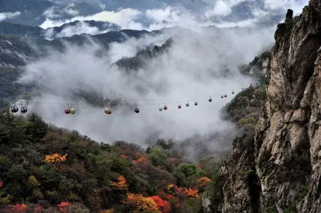 要火！洛阳这三个景点跻身全国一线行列