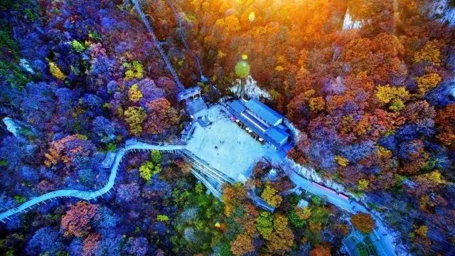 要火！洛阳这三个景点跻身全国一线行列