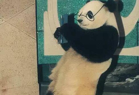 巴斯11岁上春晚 秀投篮、举重等精巧技艺