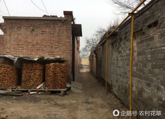 农村不让烧煤了!实行煤改气,煤改电,农民朋友有