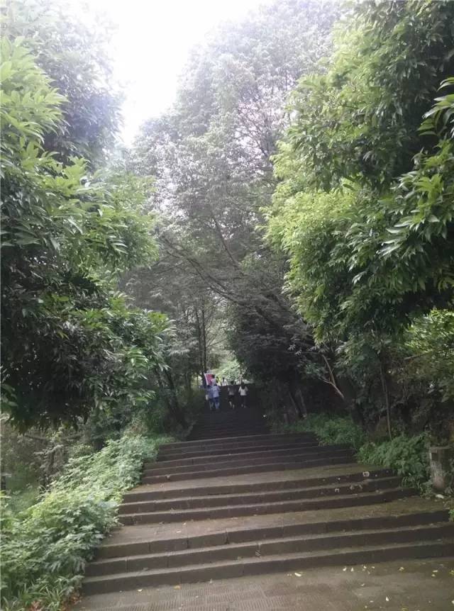 重庆这些登山步道,人少景好速来!