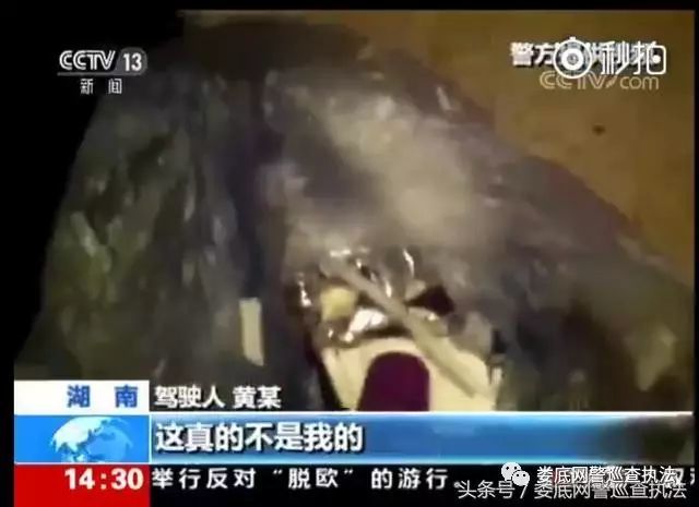 男子无证毒驾弃车逃跑 跳入池塘后被娄底交警