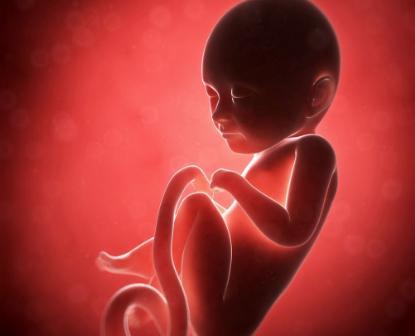 胎宝宝在妈妈肚子里最怕什么?原来他们这么敏